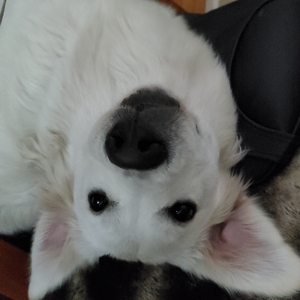 Natalie Holshevnikoff